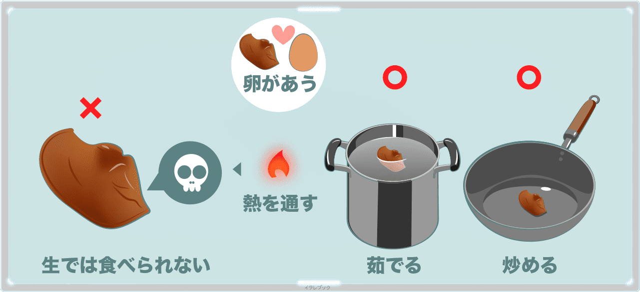 きくらげは生では食べられない。茹でたり炒めると良い。卵とよく合う