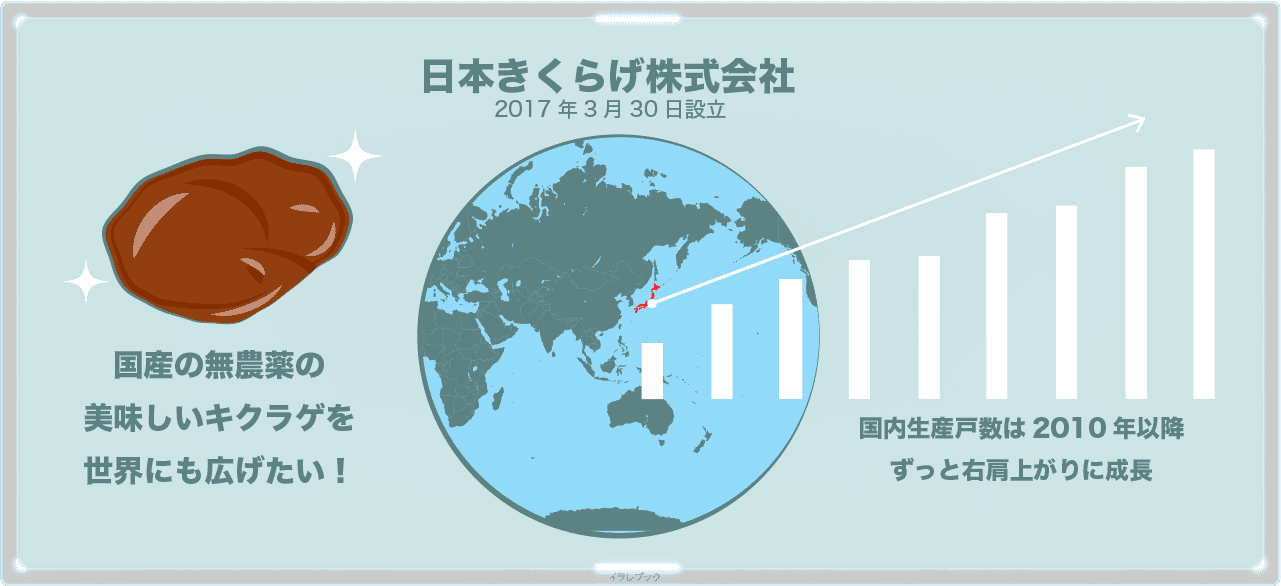 国産の無農薬の美味しいきくらげを日本のみならず世界にも広げる日本きくらげ株式会社