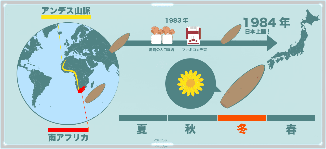 ヤーコンと日本の歩み