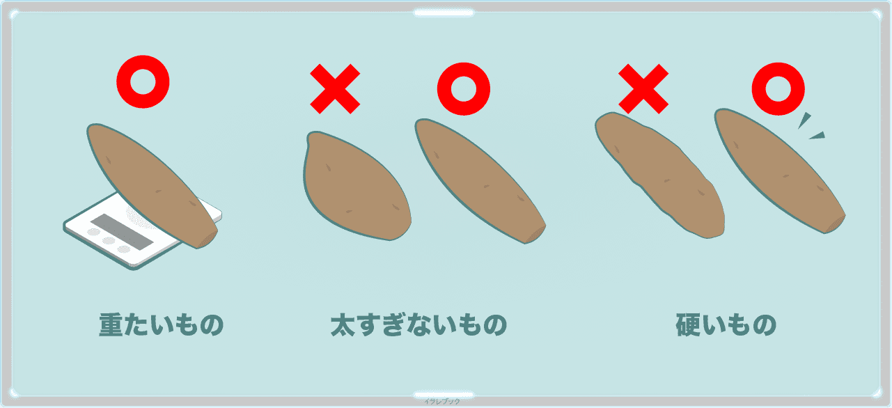 美味しいヤーコンの選び方