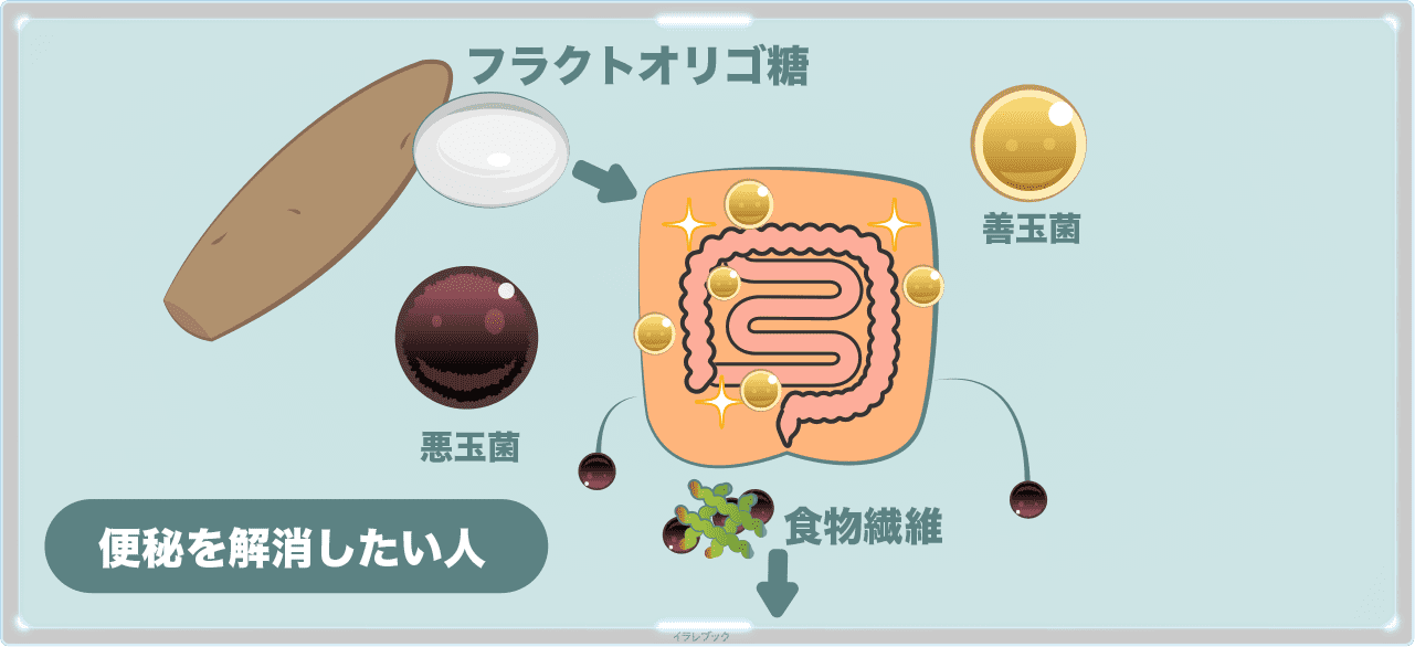 ヤーコンは便秘を解消したい人におすすめ