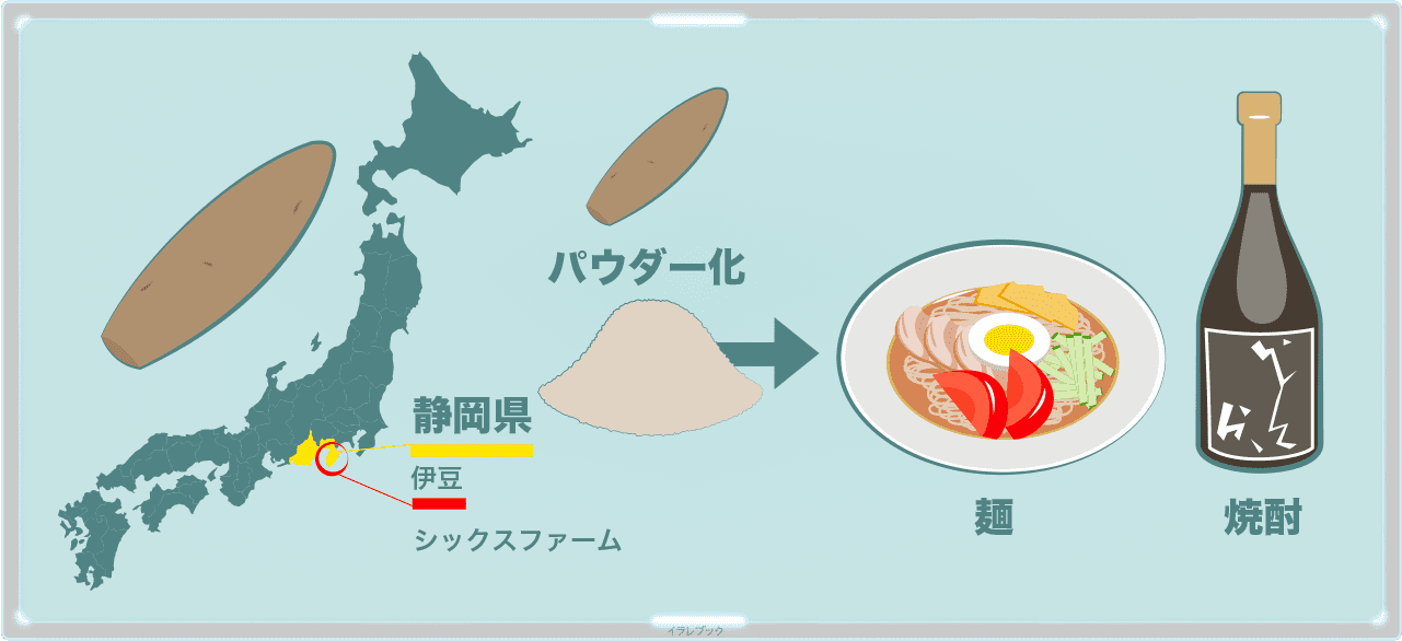 ヤーコンテーマパーク計画